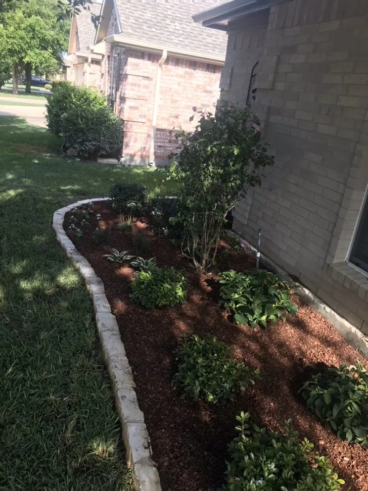 Affordable yard cleanup service experts serving Argyle, TX - Texscapes Irrigation