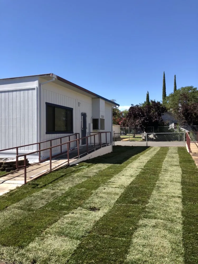 Affordable yard cleanup service experts serving Yuba City, CA - Teyes Landscaping