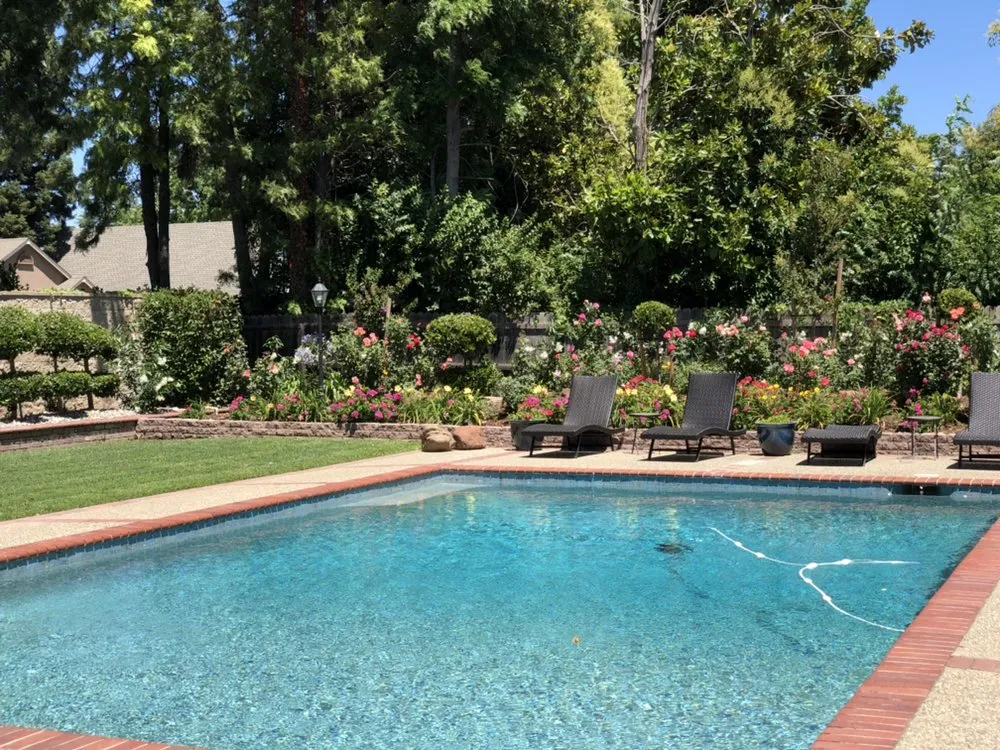 Professional yard cleanup service in Yuba City, CA - Teyes Landscaping