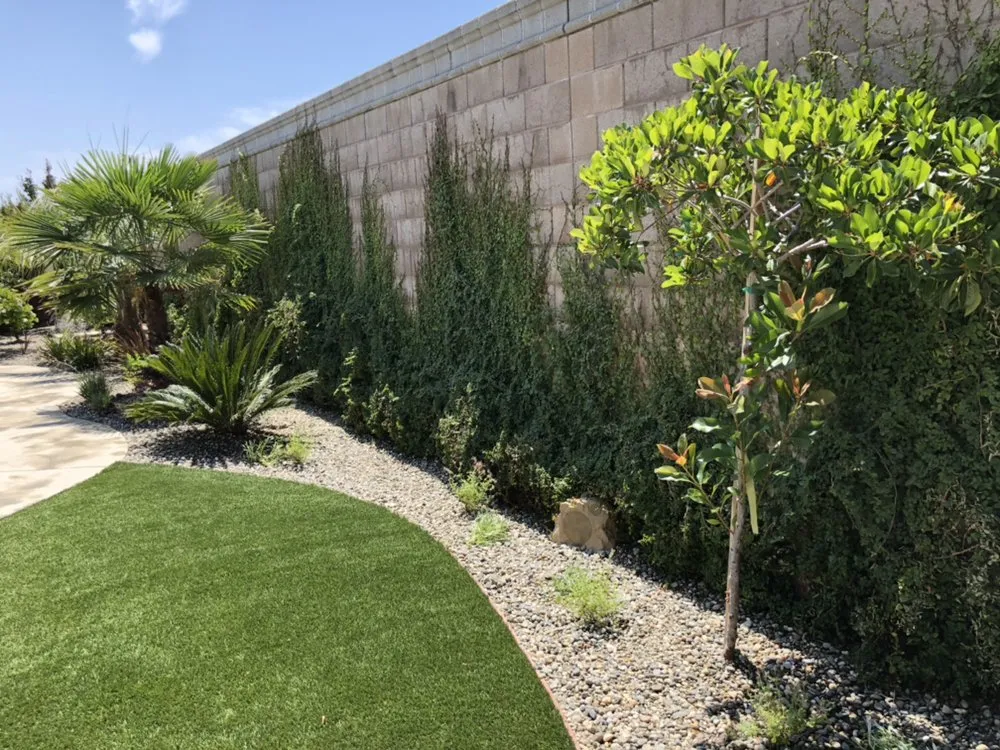 Reliable lawn mowing service experts serving Yuba City, CA - Teyes Landscaping