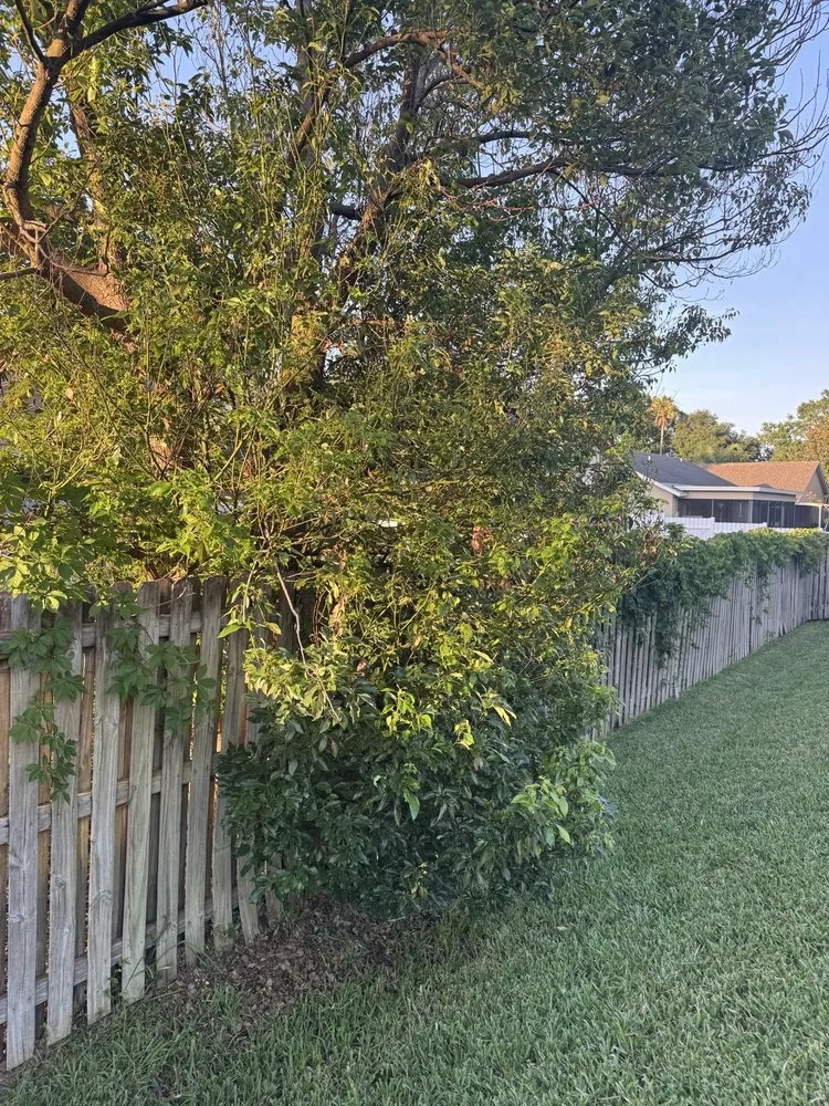 Custom lawn mowing service in Valrico, FL - Tezna Landscaping And Trees