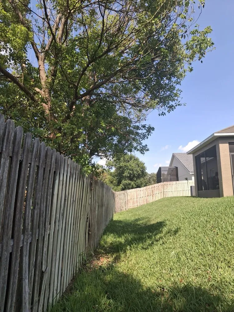 Top-rated yard cleanup service in Valrico, FL - Tezna Landscaping And Trees