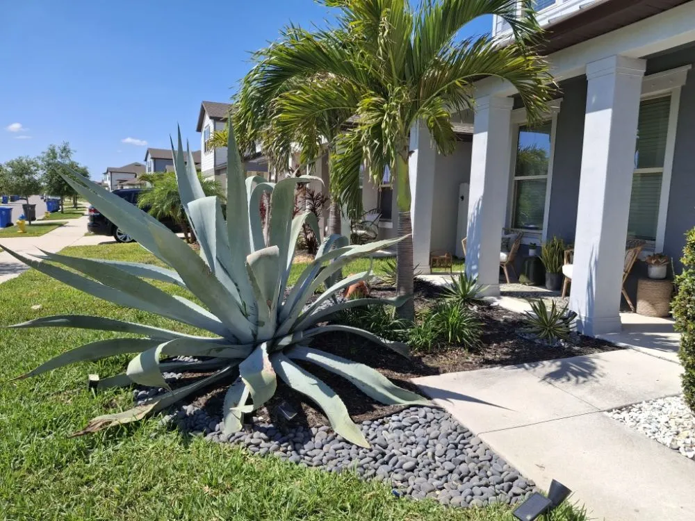 Professional lawn care service for year-round maintenance in Valrico, FL by Tezna Landscaping And Trees