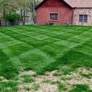 Professional lawn care service near you across Kansas City, MO - Tez's Lawn and Landscaping