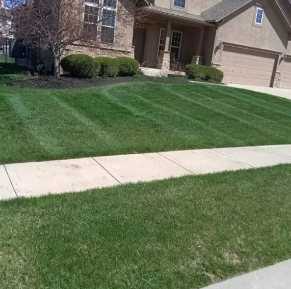 Expert lawn mowing service experts serving Kansas City, MO - Tez's Lawn and Landscaping