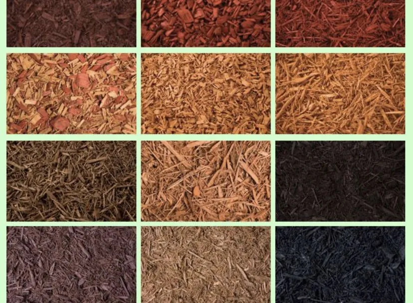 Reliable residential landscaping for homes in Minneapolis, MN by T&F Neighborhood Services