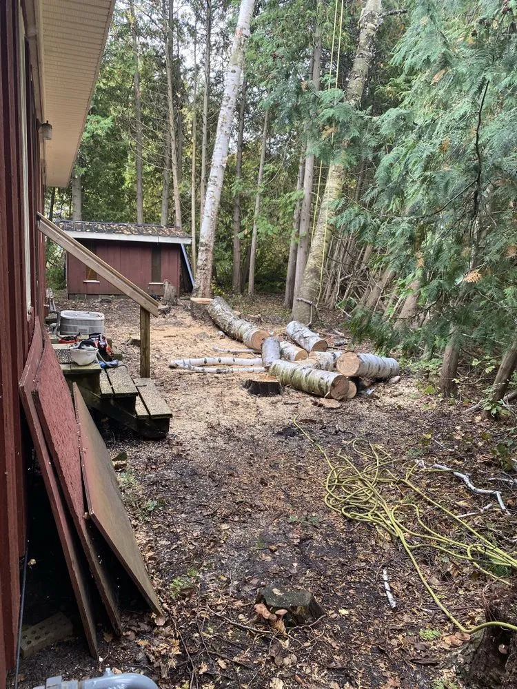 Professional landscaping services in Williamsburg, MI by TF Outdoors
