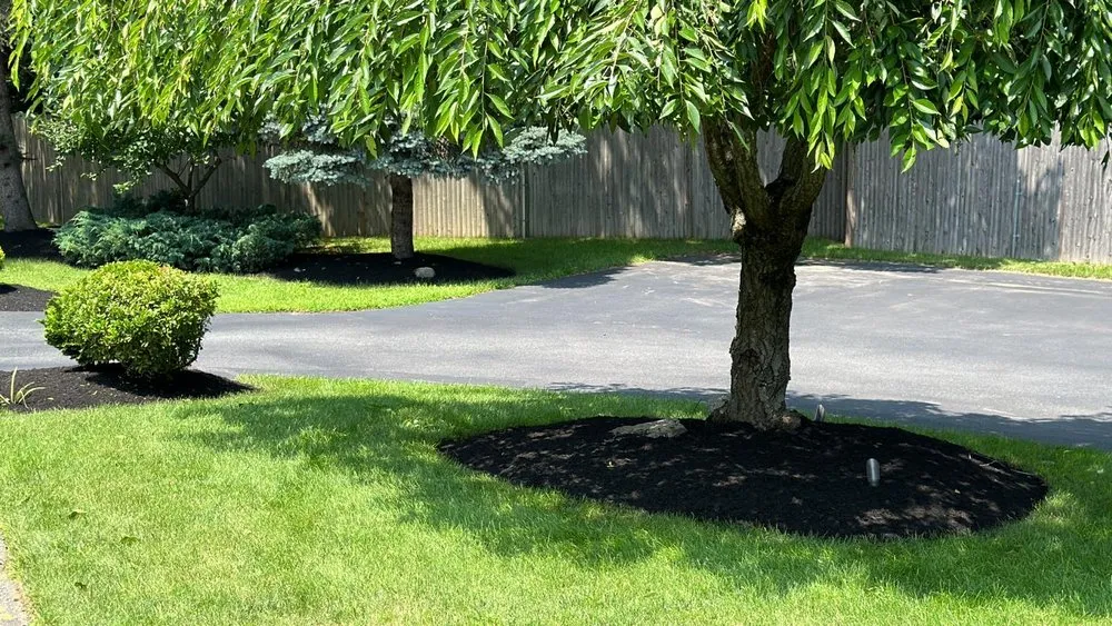Affordable yard maintenance experts serving Stoughton, MA - TF Prestige Landscape