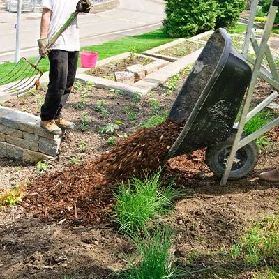 Reliable landscape design in Lockport, NY - T.F Snowplowing & Property Services