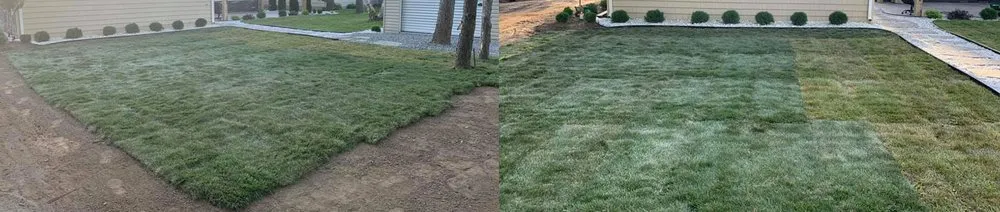 Professional lawn care service in Lockport, NY - T.F Snowplowing & Property Services
