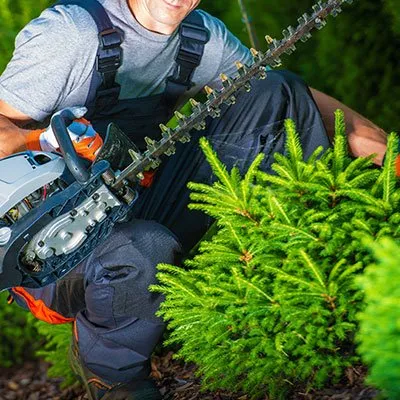 Custom landscape installation in Lockport, NY by T.F Snowplowing & Property Services