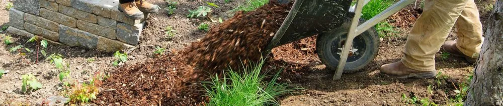 Expert landscape installation experts serving Lockport, NY - T.F Snowplowing & Property Services