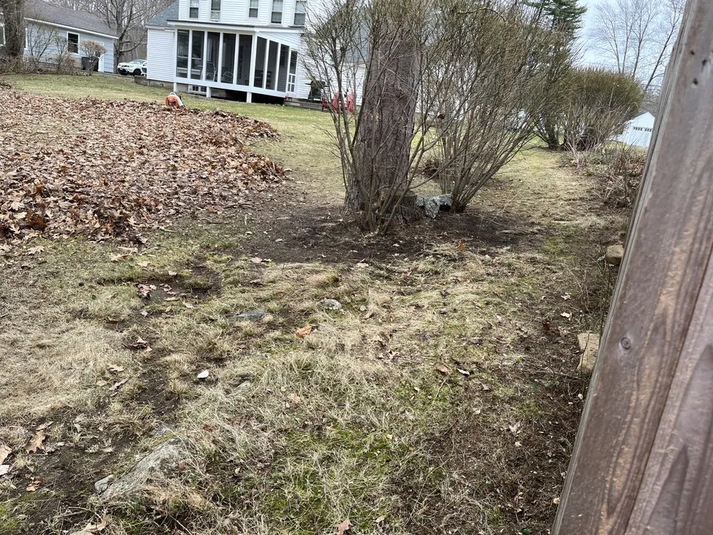 Affordable lawn care service for residential properties across Somersworth, NH - TFM Groundskeeping