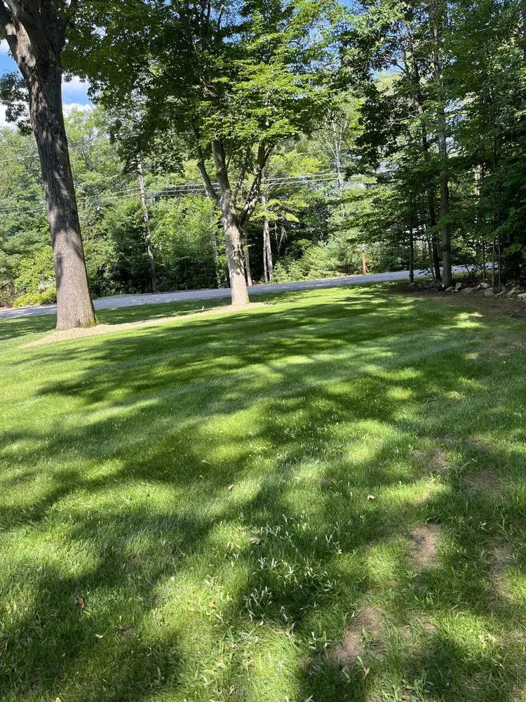 Local outdoor landscaping in Somersworth, NH - TFM Groundskeeping