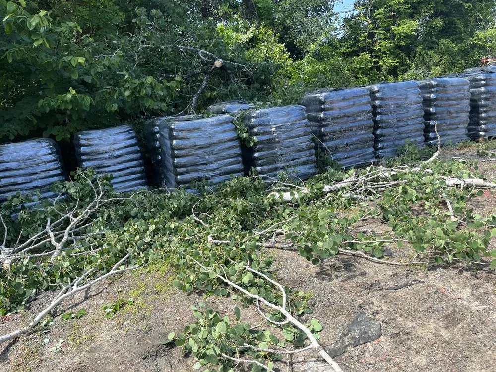 Affordable landscaping services for outdoor upgrades across Somersworth, NH - TFM Groundskeeping