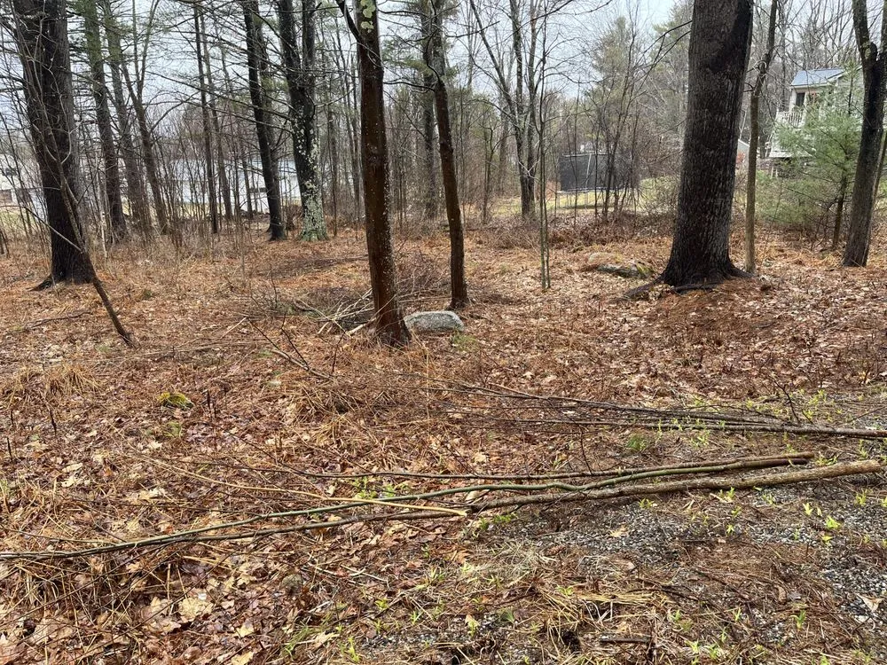 Trusted yard maintenance experts serving Somersworth, NH - TFM Groundskeeping