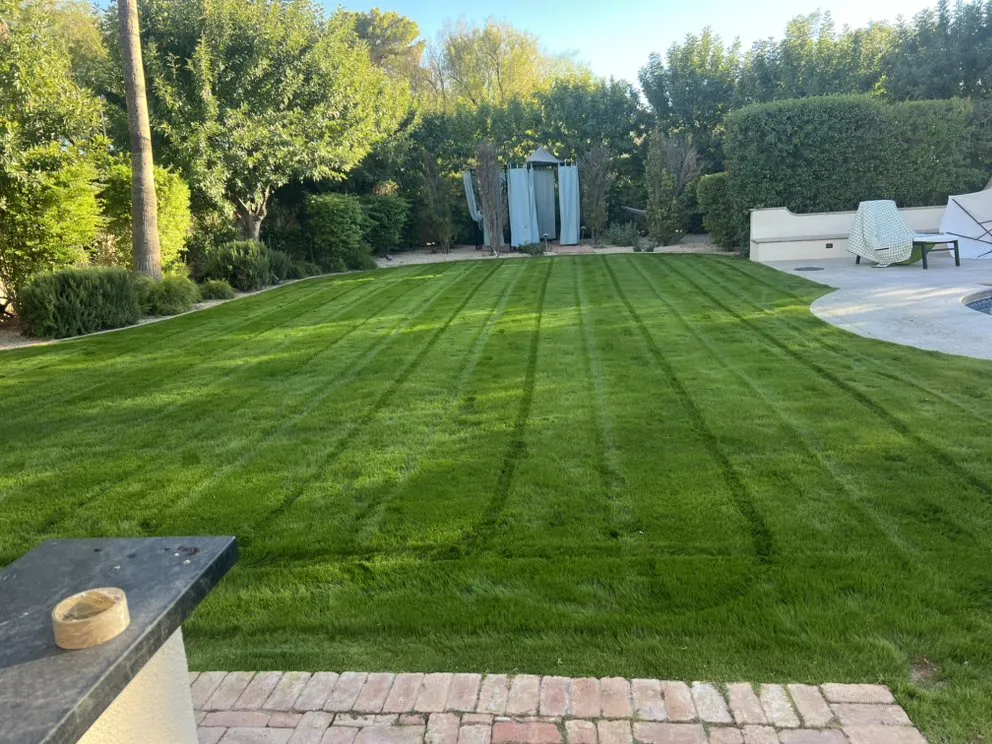 Professional residential landscaping in Scottsdale, AZ by TFP Landscaping