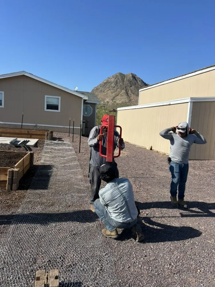 Professional landscaping services in Scottsdale, AZ by TFP Landscaping