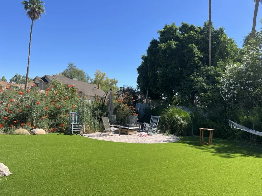 Top-rated yard cleanup service experts serving Scottsdale, AZ - TFP Landscaping