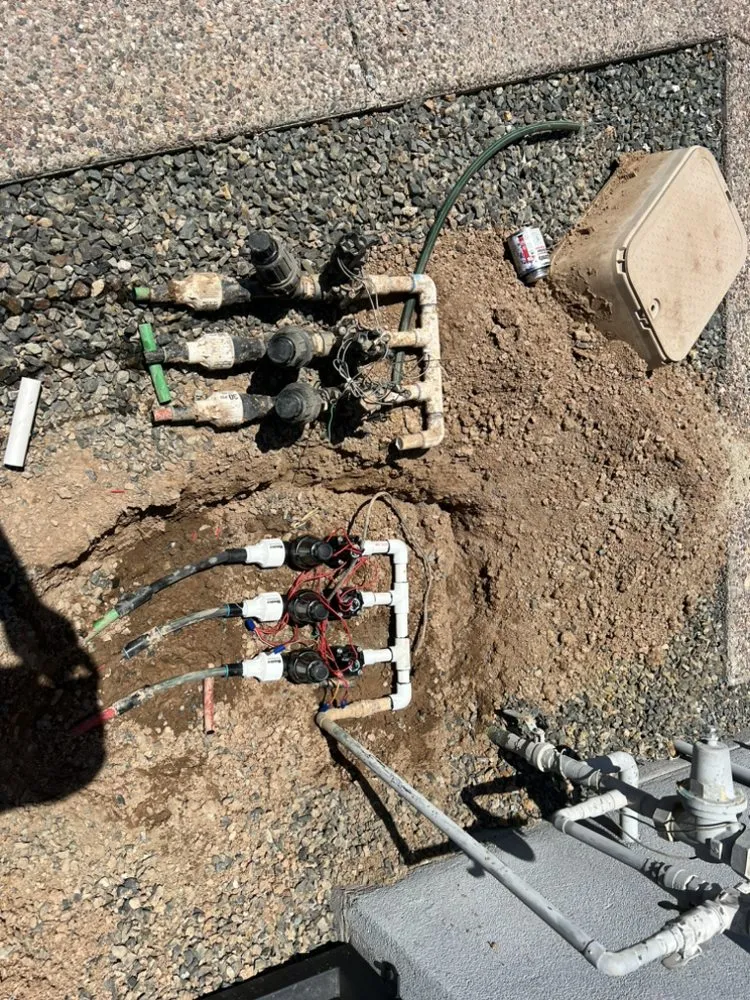 Top-rated lawn care service experts serving Scottsdale, AZ - TFP Landscaping