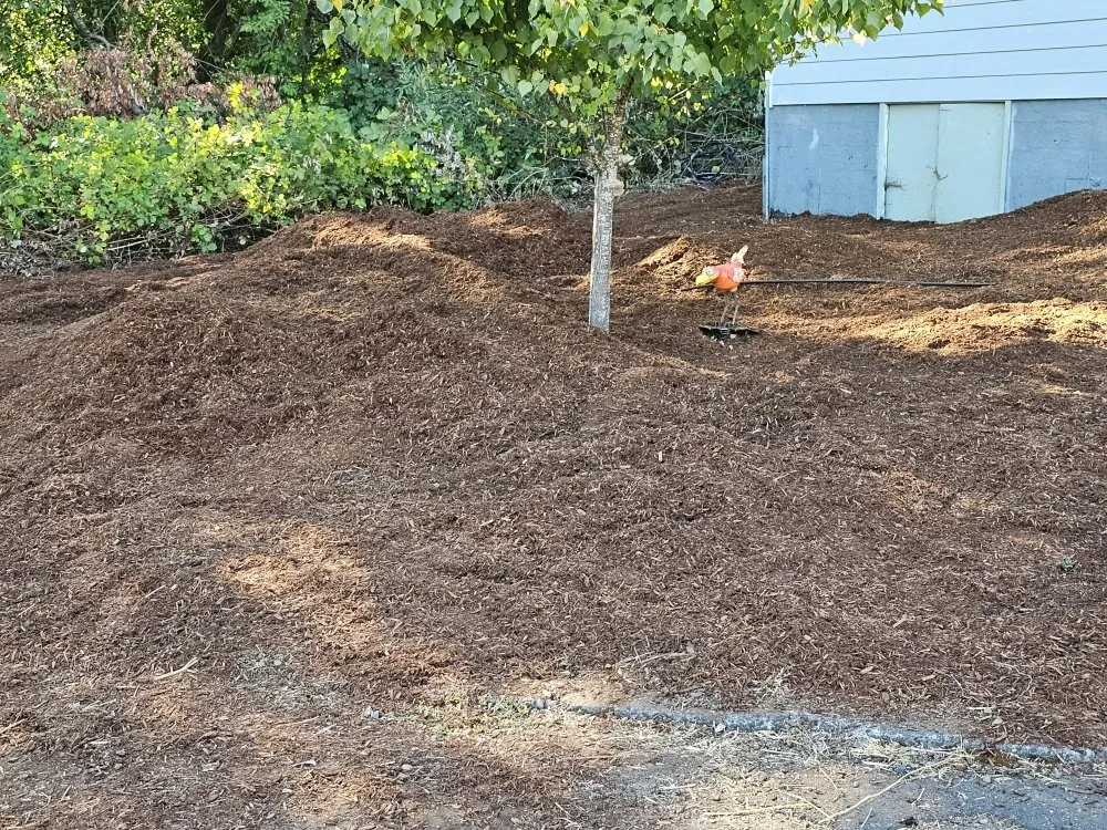 Custom lawn care service with custom design across Battle Ground, WA - TG Blessing Landscaping