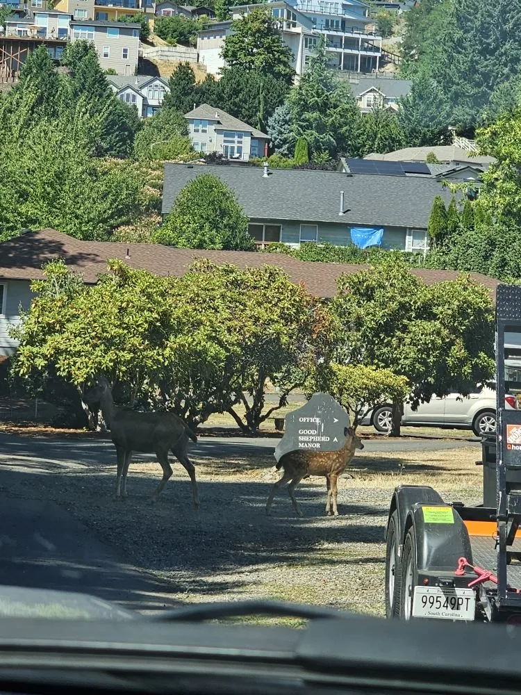 Professional landscaping services experts serving Battle Ground, WA - TG Blessing Landscaping