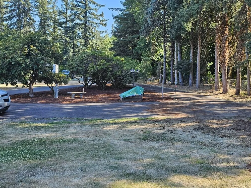 Affordable yard cleanup service near you in Battle Ground, WA by TG Blessing Landscaping