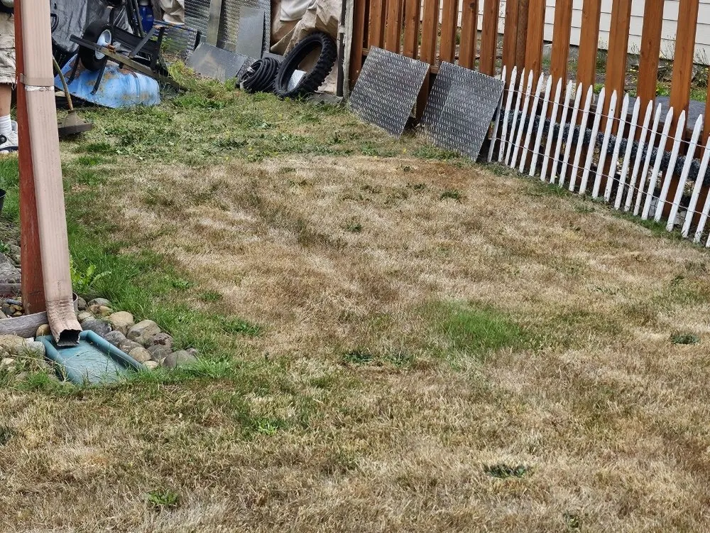 Top-rated yard cleanup service experts serving Battle Ground, WA - TG Blessing Landscaping