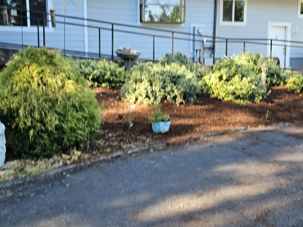 Professional garden landscaping for beautiful yards across Battle Ground, WA - TG Blessing Landscaping