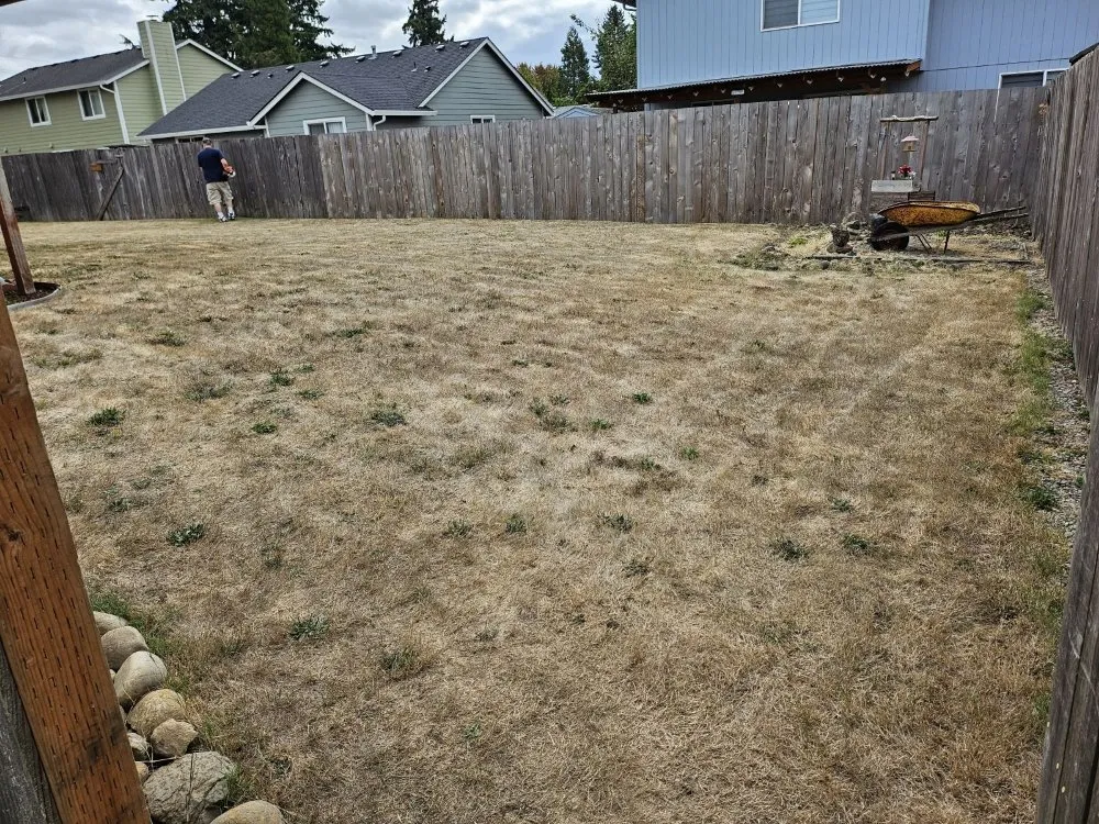 Affordable landscaping services in Battle Ground, WA - TG Blessing Landscaping