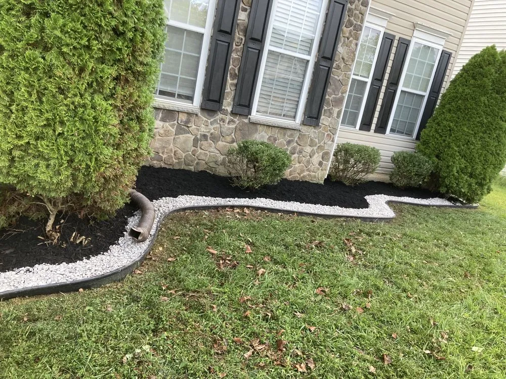 Reliable yard cleanup service in Halethorpe, MD - T&G Five Star Lawn Care & Home
