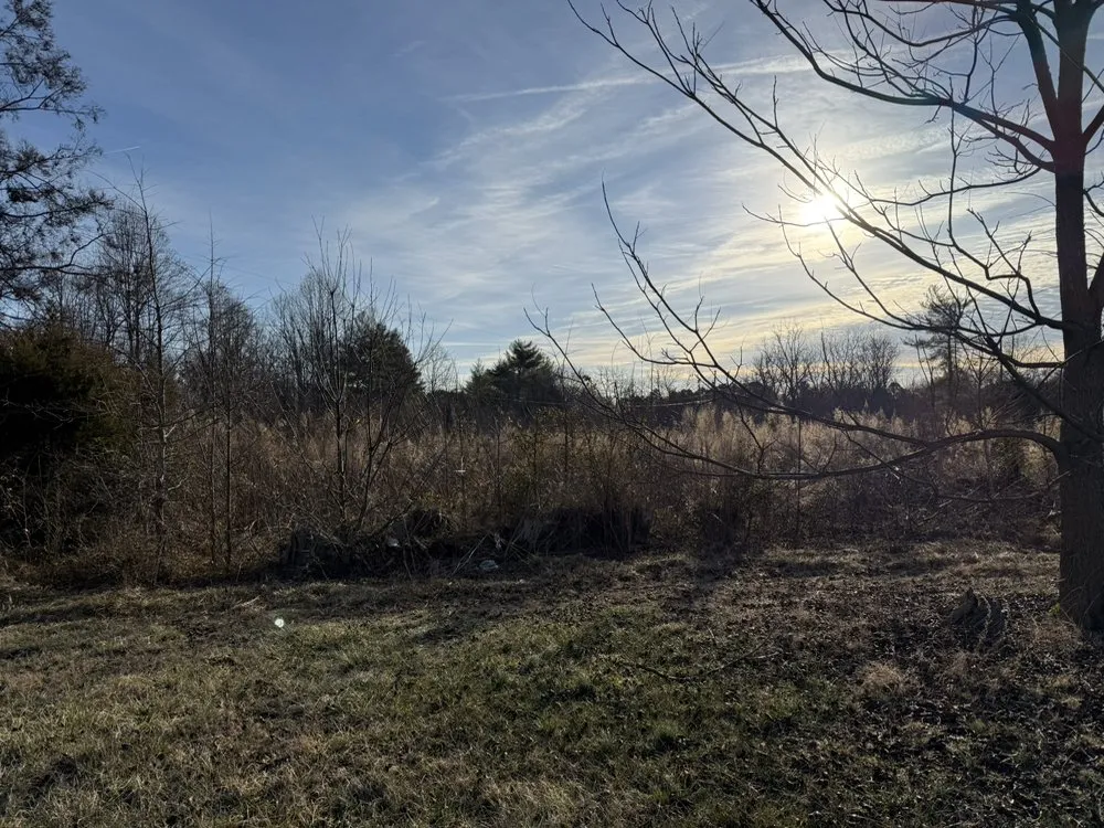 Trusted landscape installation experts serving Township Of Taylorsville, NC - TG Grading & Landscaping