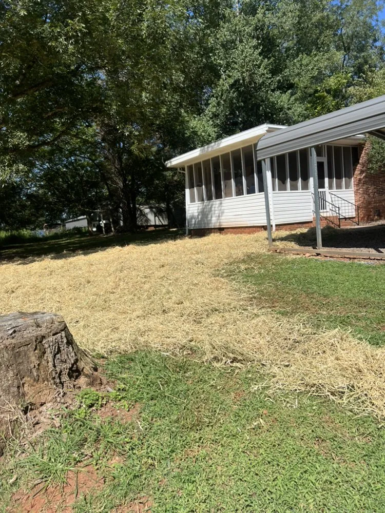 Custom yard cleanup service in Township Of Taylorsville, NC - TG Grading & Landscaping