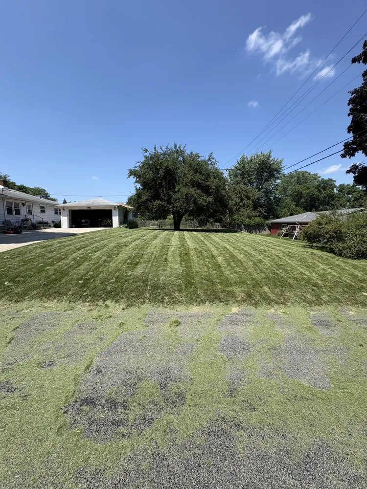 Professional outdoor landscaping in Cottage Grove, WI by T&G Landscaping