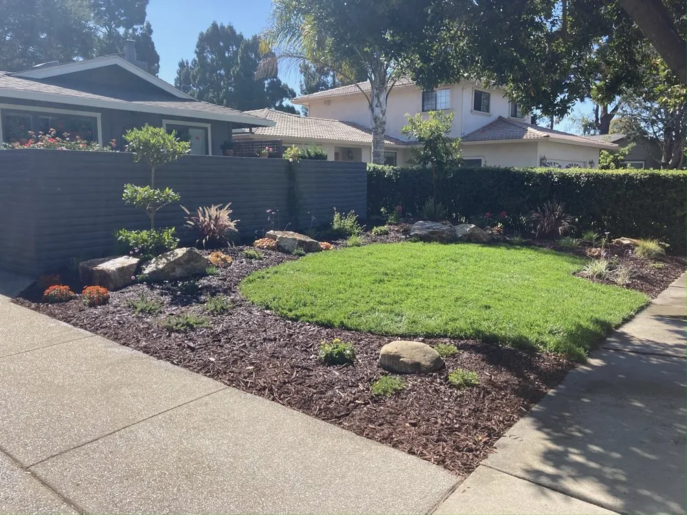 Trusted yard cleanup service in Salinas, CA - TG Landscaping