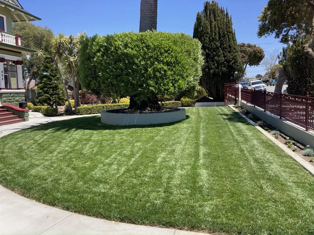 Professional yard cleanup service in Salinas, CA - TG Landscaping