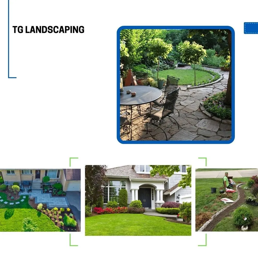 Affordable yard cleanup service experts serving Salinas, CA - TG Landscaping