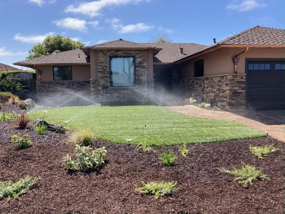 Trusted yard cleanup service for year-round maintenance in Salinas, CA by TG Landscaping