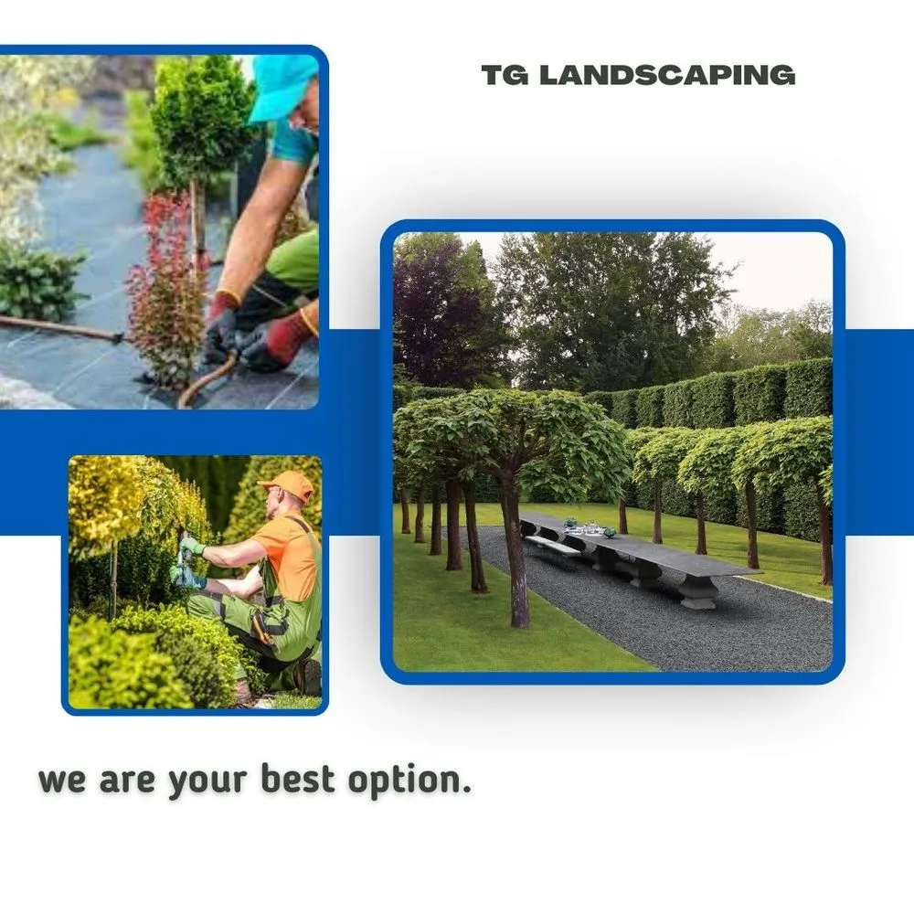 Reliable garden landscaping in Salinas, CA - TG Landscaping