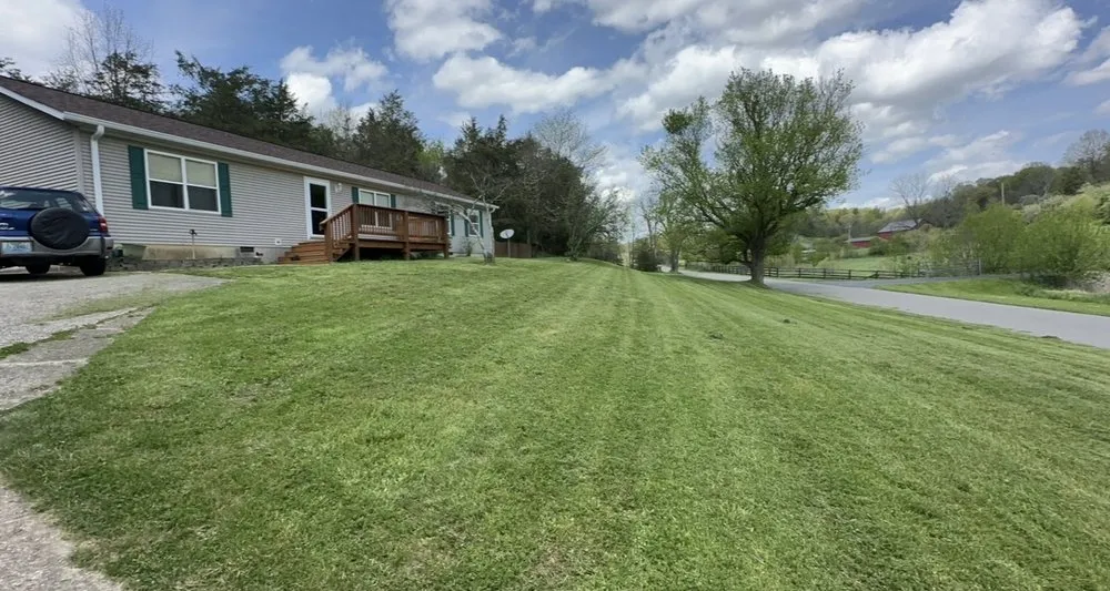 Custom yard cleanup service in Georgetown, KY by TG Lawn Care