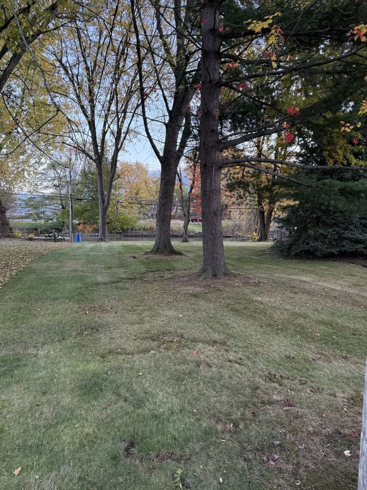 Top-rated landscaping services for year-round maintenance across Amherst, NY - TG Lawn Care Services