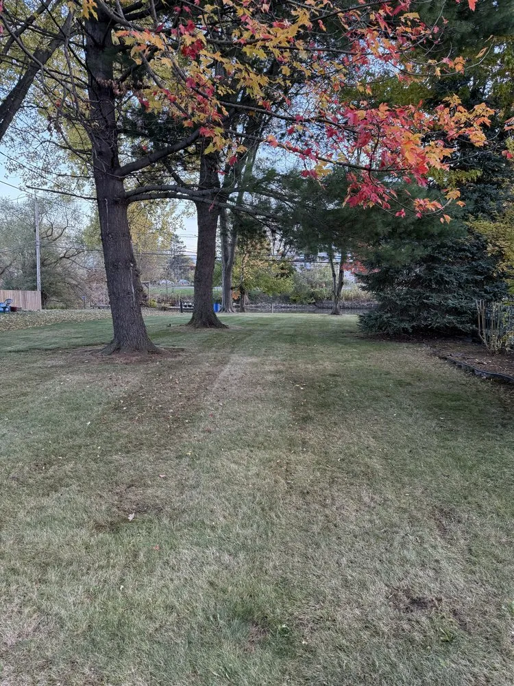 Trusted lawn care service in Amherst, NY - TG Lawn Care Services