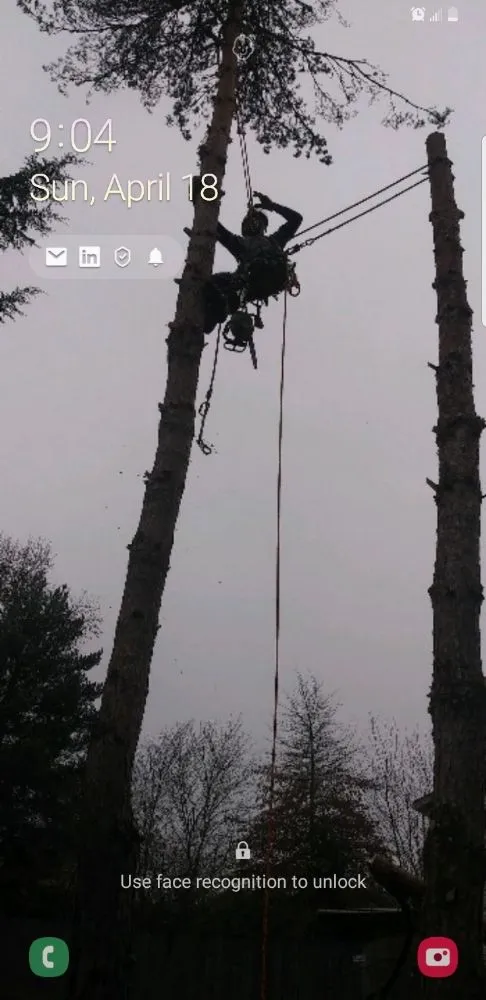 Reliable landscaping services in Battle Ground, WA by TG Lawn Service