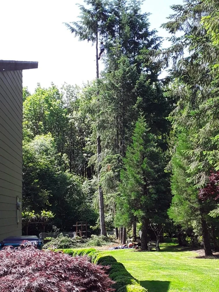 Professional landscape design in Battle Ground, WA by TG Lawn Service