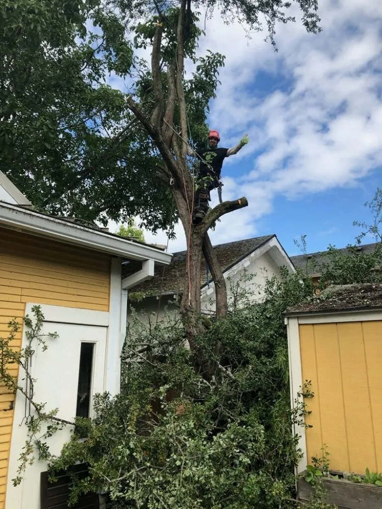 Custom garden landscaping in Battle Ground, WA by TG Lawn Service