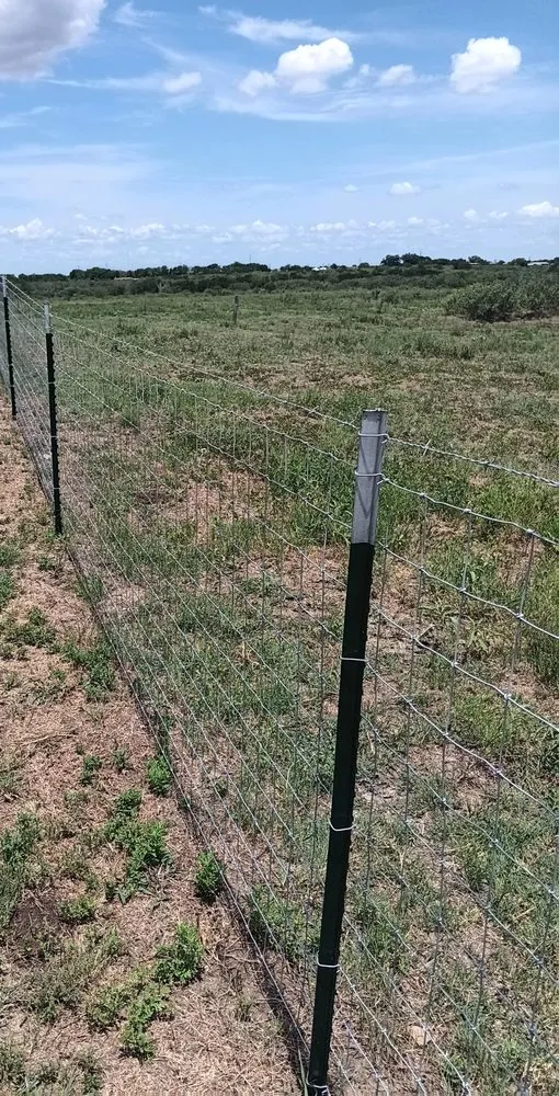 Trusted outdoor landscaping in Luling, TX - TG Lawn,Tree & Fence