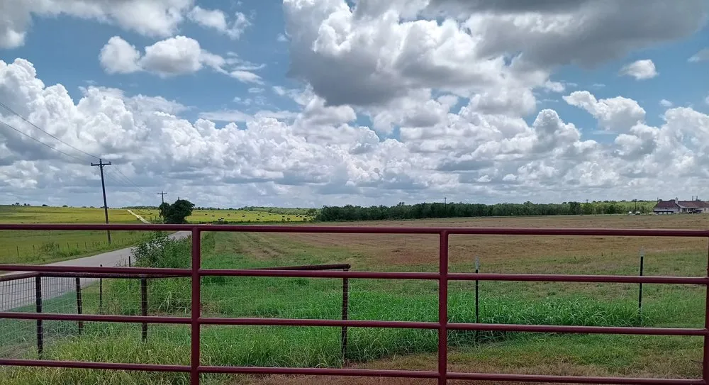 Top-rated yard maintenance near you across Luling, TX - TG Lawn,Tree & Fence