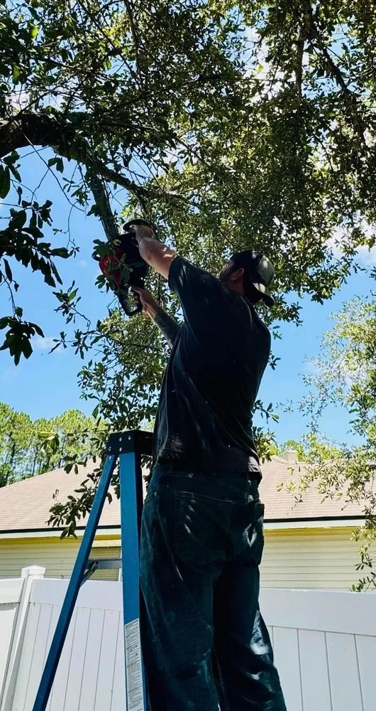 Expert landscaping services near you across Yulee, FL - TG Tree Service and Lawn Maintenance