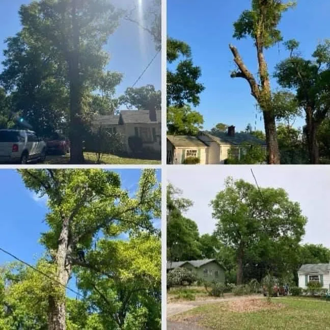 Local outdoor landscaping for outdoor upgrades across Yulee, FL - TG Tree Service and Lawn Maintenance