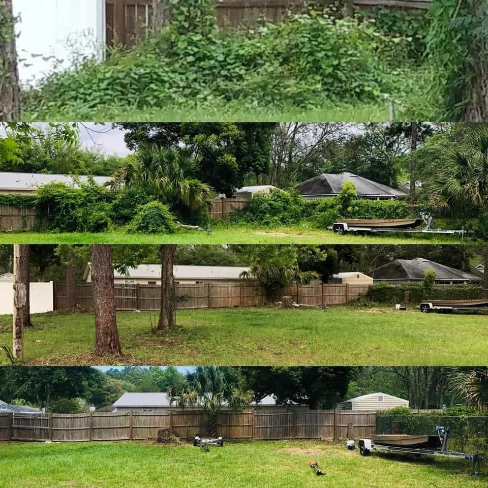Professional yard cleanup service in Yulee, FL - TG Tree Service and Lawn Maintenance